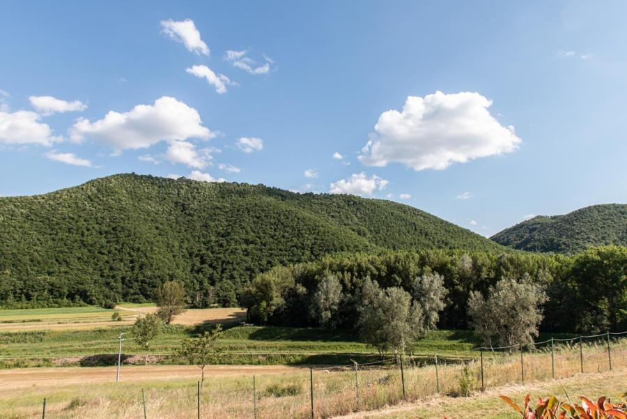 Il Colombaio Agriturismo Montegabbione Buitenkant foto