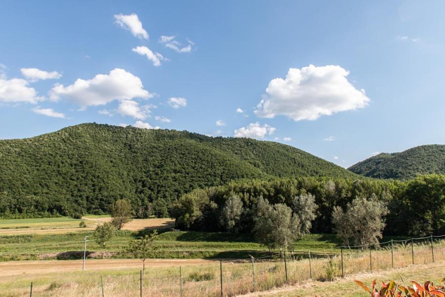 Il Colombaio Agriturismo Villa Carnaiola Buitenkant foto