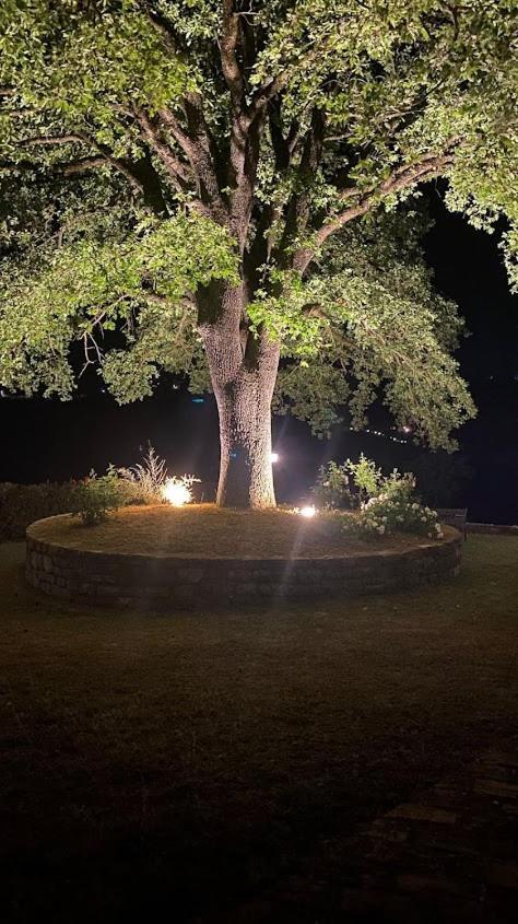 Il Colombaio Agriturismo Montegabbione Buitenkant foto