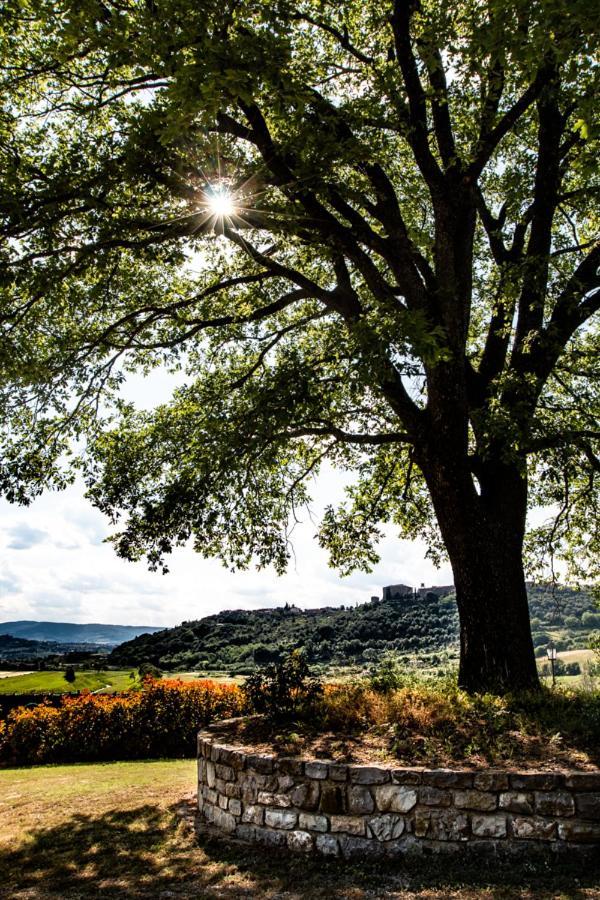 Il Colombaio Agriturismo Montegabbione Buitenkant foto